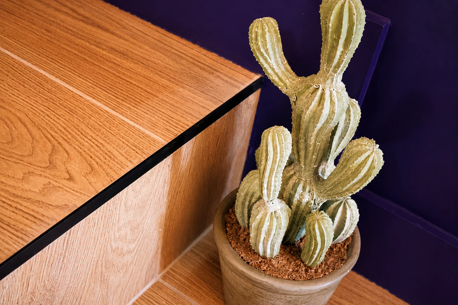 Une touche végétale dans le décor